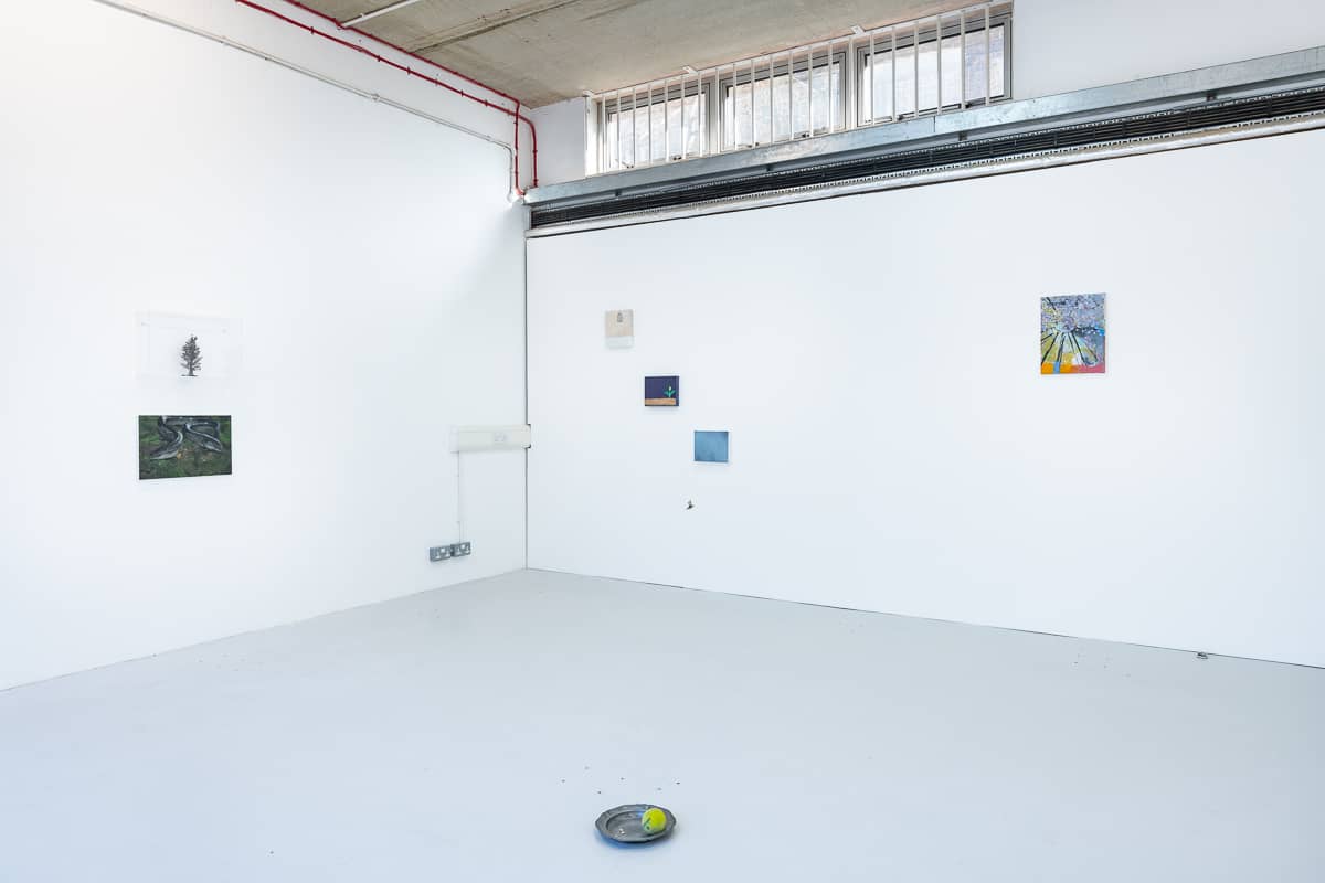 small – installation view – Angela de la Cruz Studio